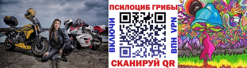 Купить где  Макушино  Псилоцибиновые грибы ЛСД 